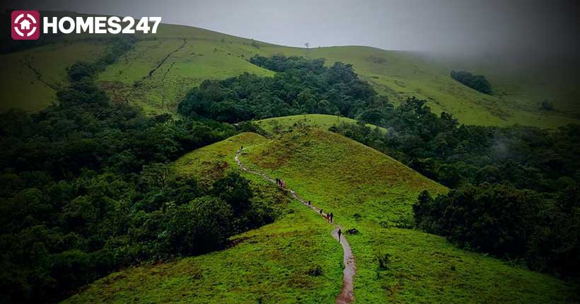 Kodachadri hills - Homes247